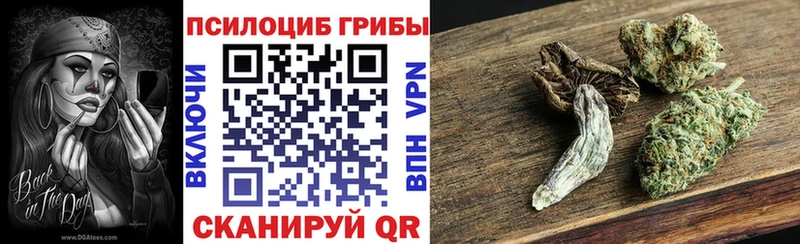 Купить где  Асино  Псилоцибиновые грибы мицелий 